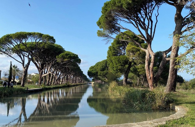 Air-conditioned house near the Canal du Midi, 15 minutes from Narbonne, sea and countryside