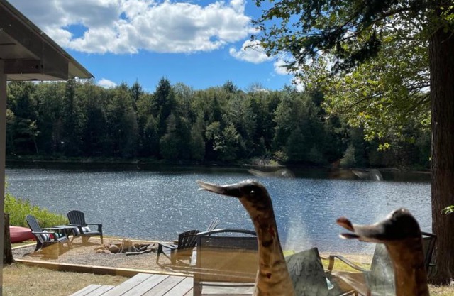 Algonquin Waterfront and Winter Paradise With Sunsets