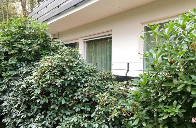 Allee Apartment