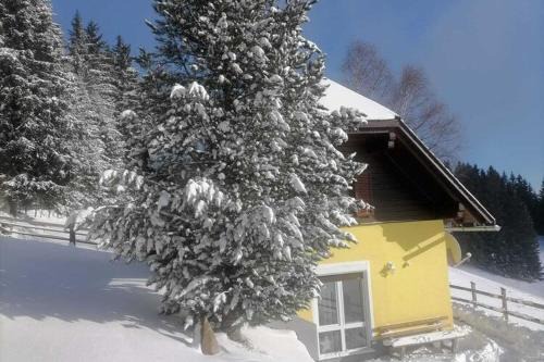 Alpine House in Prebl near Klippitztörl Ski Area