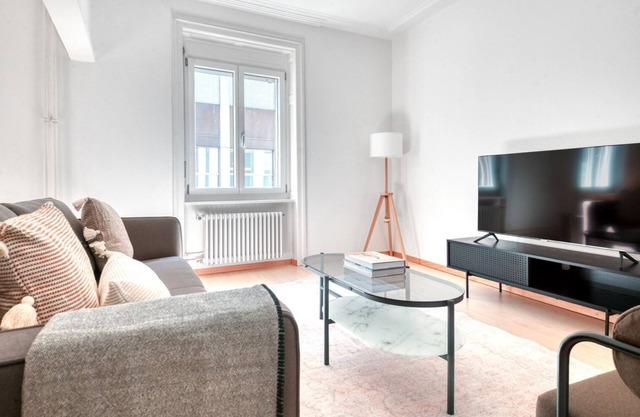 Altstadt Grossbasel 2.5 Room, 4 mins to Mkt