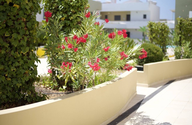 Alvor Albur Village Bl C R/ch F