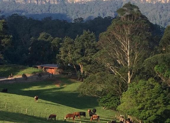 Amaroo Valley Springs