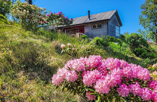 Amazing home in Jørpeland with kitchen