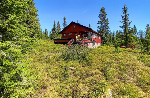 Amazing home in Sjusjøen with WiFi