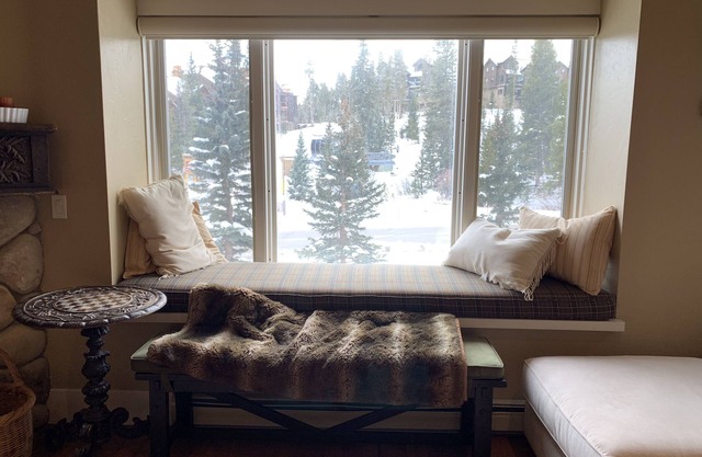 Amazing location! Ski-in/Ski-outnOnly President’s Day weekend open