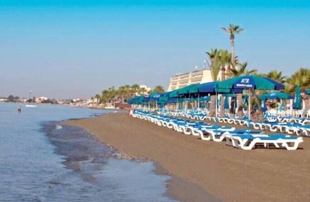 Amazing location, surrounded by palm trees and just 200 meters from the beach!