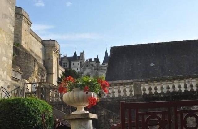 AMBOISE : charming accommodation for rent with a side view on the Castle