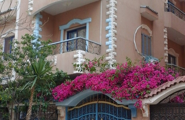 An apartment in villa of univ. Professor with special entrance