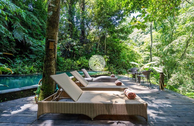 Anam Cara Villa, a stunning antique style & a nature sanctuary