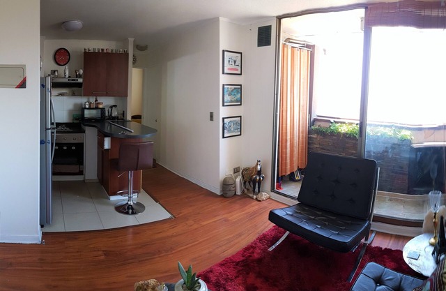 Anazing Santiago Apartment