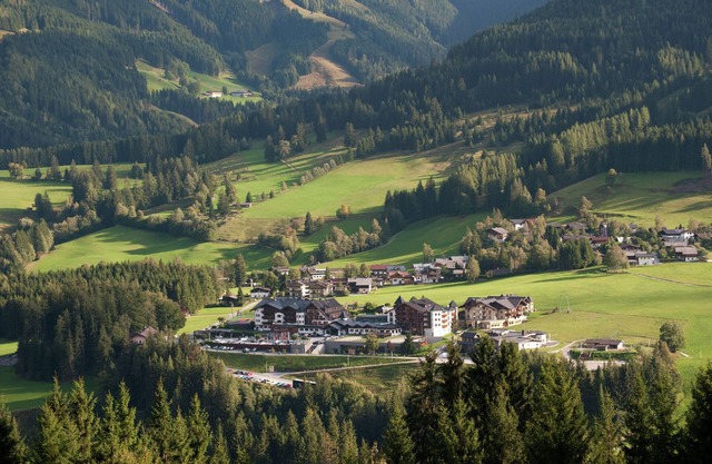 Animal -friendly apartment in Leogang