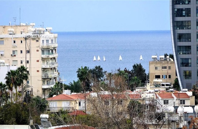 Antonakis 501