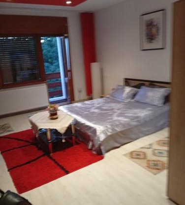 Apartament cu terasa la casa Valentin