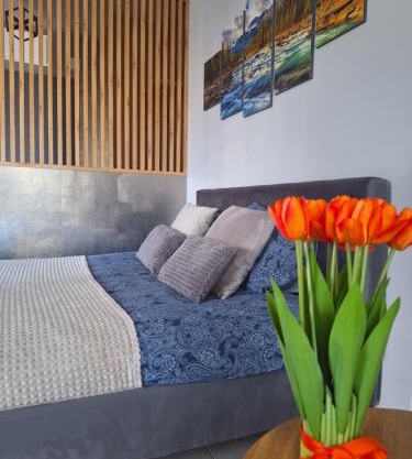 Apartament Górska Szarotka