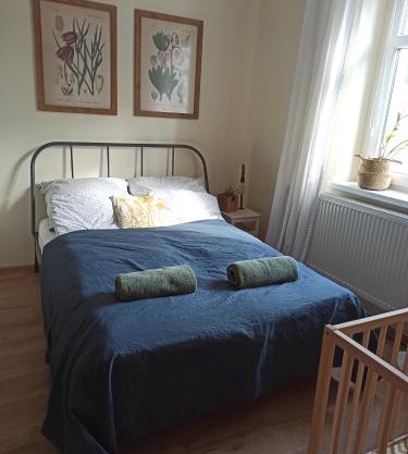 Apartament przy Wandy