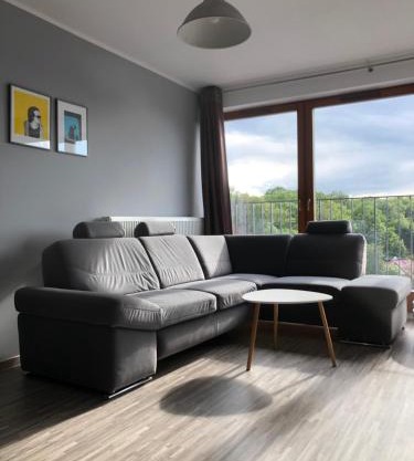 Apartament Ptasia