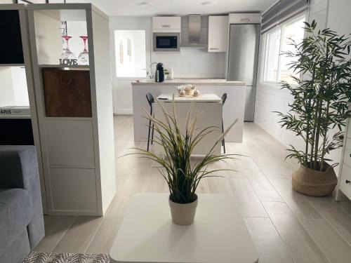 Apartamento Victoria Deluxe