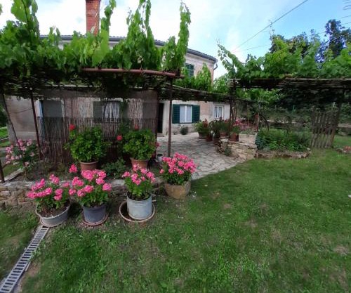 Apartma Fiorina