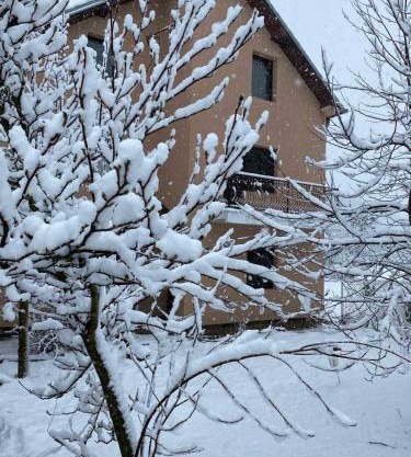 Apartmani Vlaška
