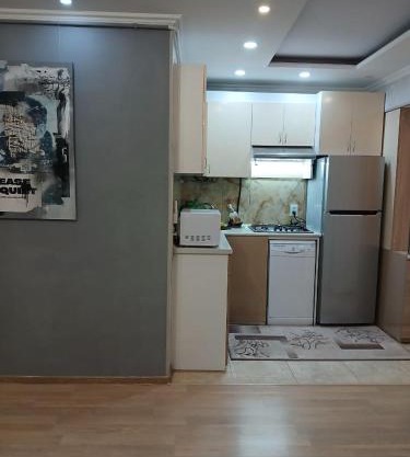 Apartment ANI