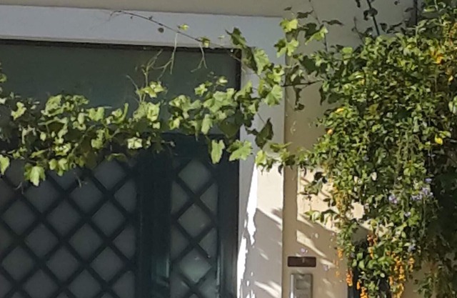 Apartment between Etna, Catania and Taormina - Parking and breakfast included