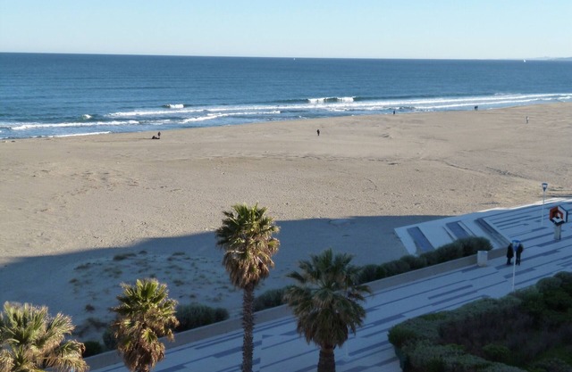 Apartment Canet en Roussillon - South beach - Sea view