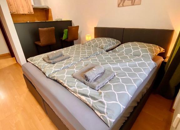 Apartment Dachstein nahe Zentrum
