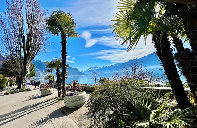 Apartment/flat - Montreux