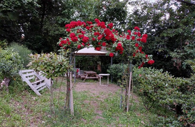 Apartment in house surrounded by greenery above Ghiffa: 300 meters from the lake.