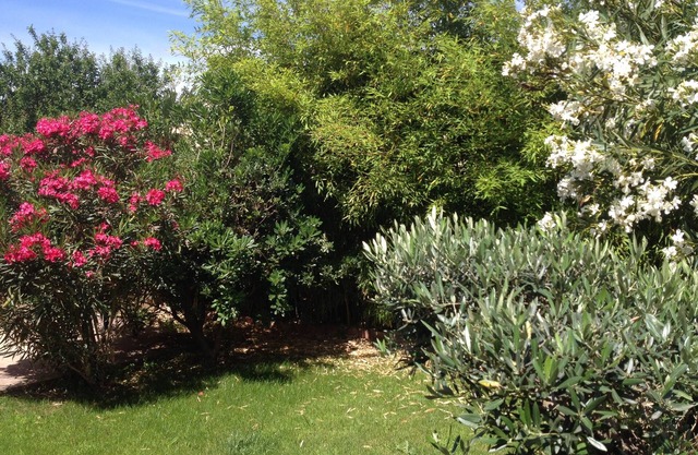 Apartment in very quiet villa in the heart of the village