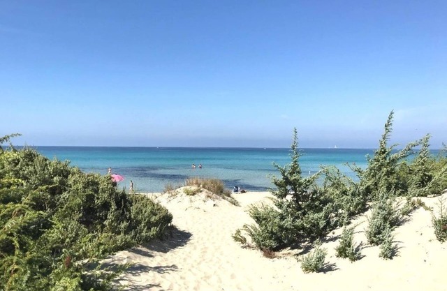Apartment E suitable for families