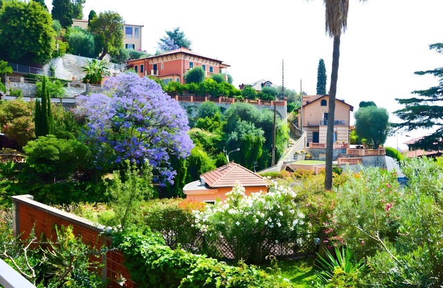 Apartment 'La Pergola Blu' with Sea View, Wi-Fi and Air Conditioning