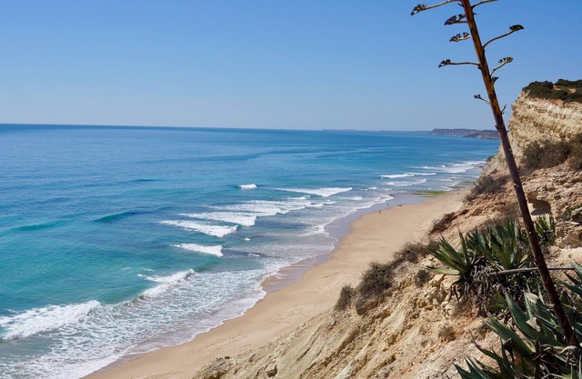 Apartment 'La Plage' Sl.3 Sea view WiFi/Smart TV Privacy & Comfort