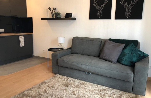 Apartment Mila - whole apartment with kitchen and terrace near the fair