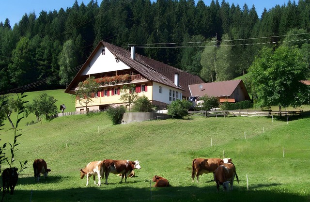 Apartment 'Nichtraucher' with Shared Garden, Balcony and Wi-Fi