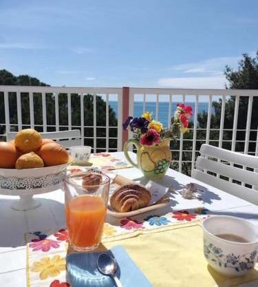 {[Apartment On The Sea +Terrace]} Dan's house