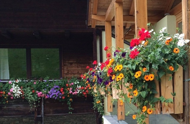 Apartment on the farm m. a lot of space for children