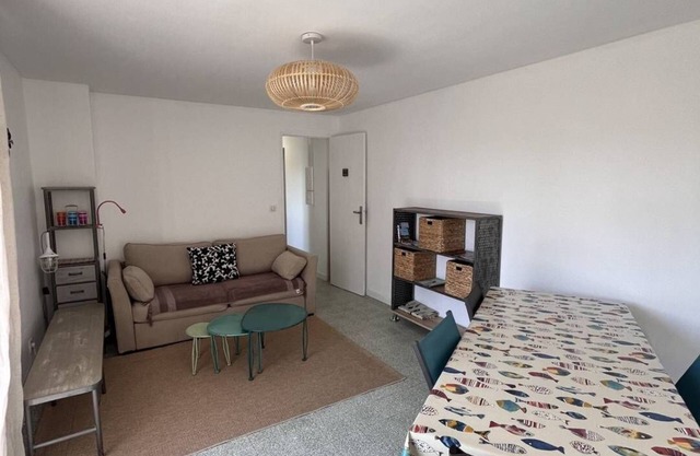 Apartment T2 50 m from the beach near shops - 4CDUSUD8
