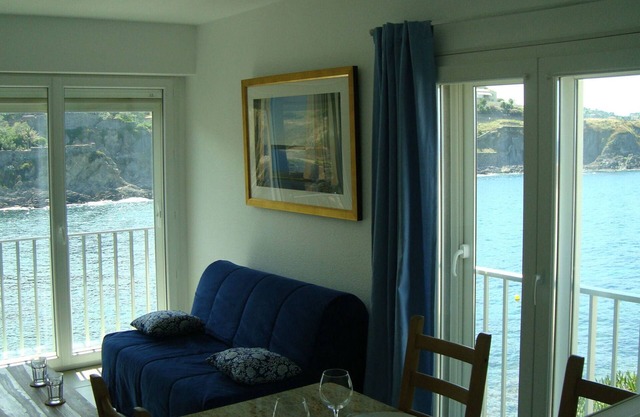Apartment T3 on the seafront. Breathtaking view over Collioure and the sea