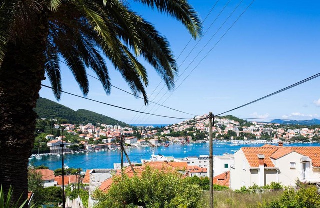 Apartments Dubrovnik Palm Tree Paradise