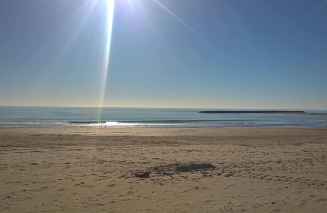 "Aphyllante" studio in Carnon Plage. Relaxation, holidays, congress, internship, expo