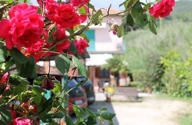Appartamenti Val di Denari