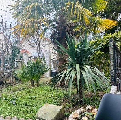 Appartement avec jardinet, fête interdite !