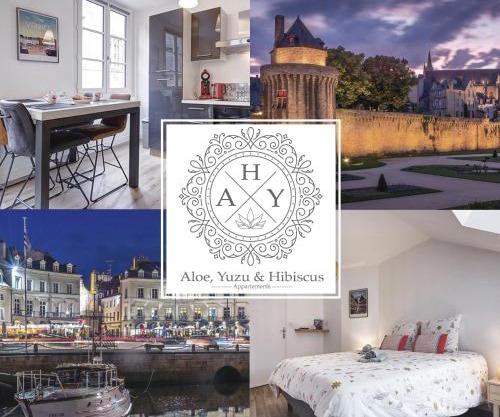 Appartements de caractère centre