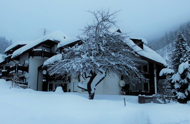 Appartment Orchidee, Black Forest, Todtnau Freiburg & Lörrach, Black Forest