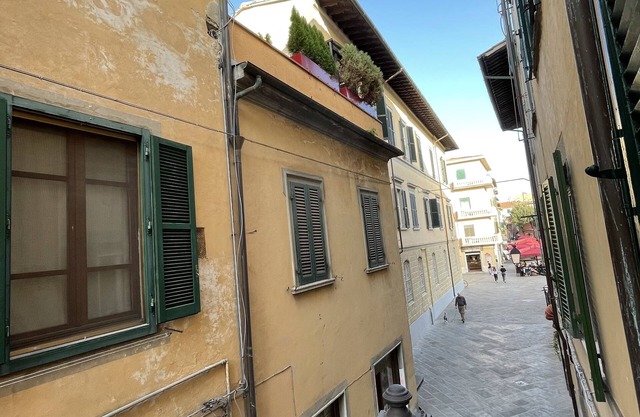 Artemisia Pisa