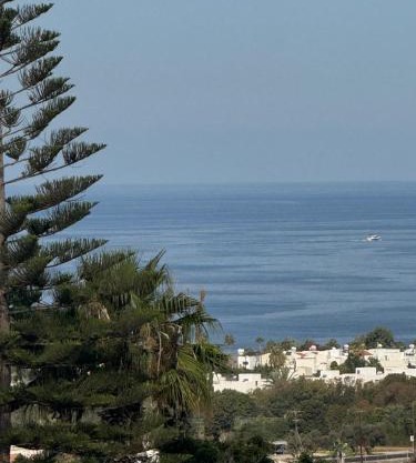 Arting Sea-A Dog friendly house
