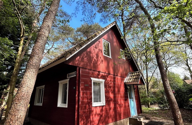 Attractive and comfortable house near the dunes