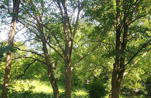 Attractive Bed & Breakfast Retreat, Perfect Escape Just 5 minutes from Innisfree